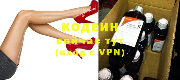 индика Лихославль