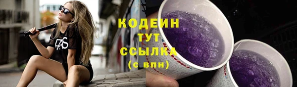 индика Майский