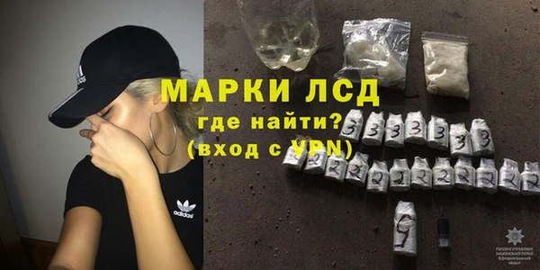 индика Лихославль
